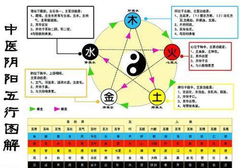 金生水個性|怎样理解五行理论中的“金生水”？